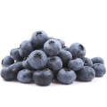 Hot selling 100% natural antioxidant blueberry extract powder bilberry extract